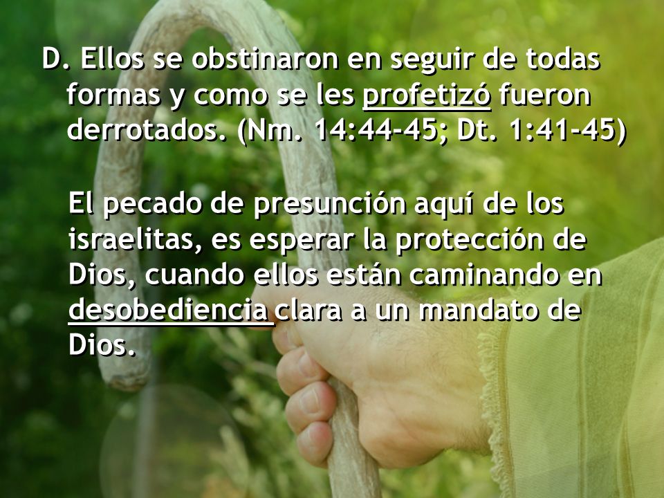 D. Ellos se obstinaron en seguir de todas formas y como se les profetizó fueron derrotados. (Nm. 14:44-45; Dt. 1:41-45)