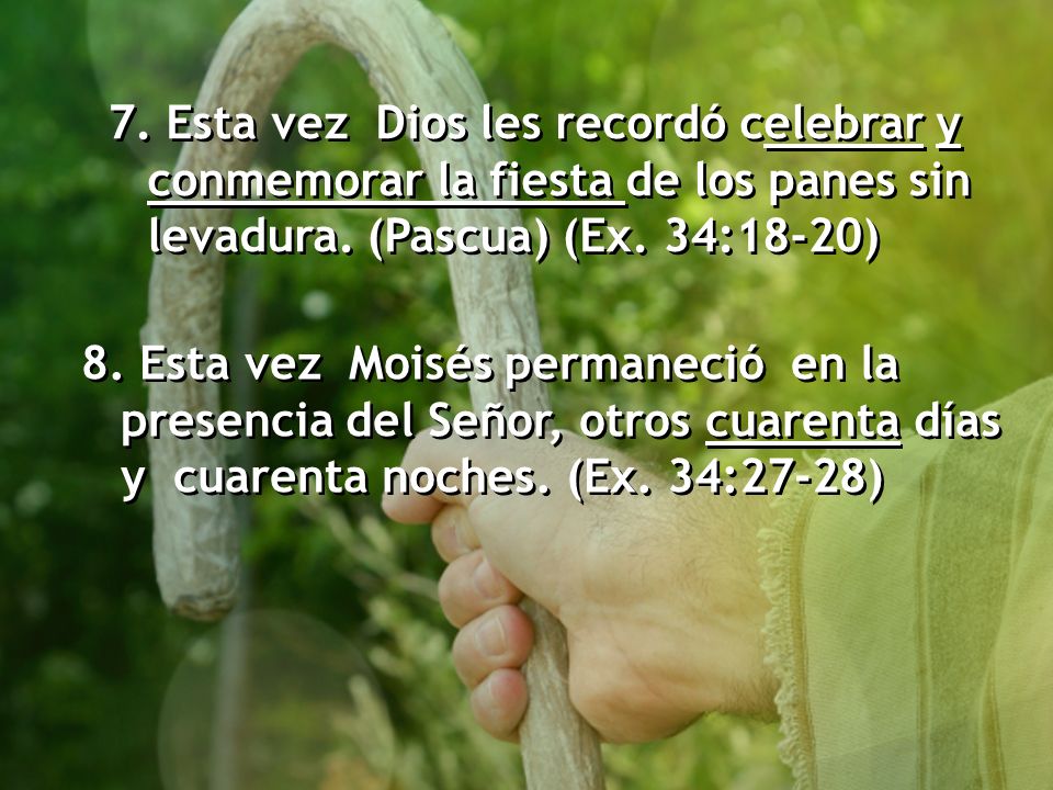 7. Esta vez Dios les recordó celebrar y conmemorar la fiesta de los panes sin levadura. (Pascua) (Ex. 34:18-20)
