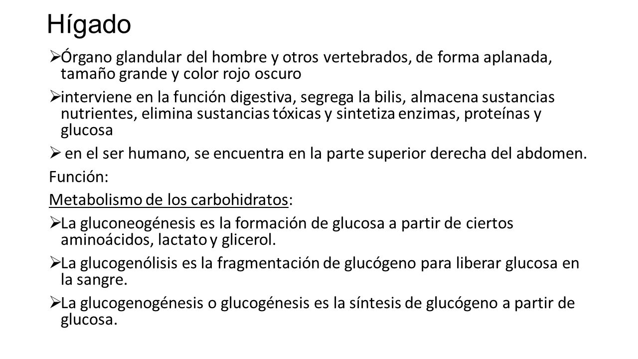 Hígado Órgano glandular del hombre y otros vertebrados, de forma aplanada, tamaño grande y color rojo oscuro.
