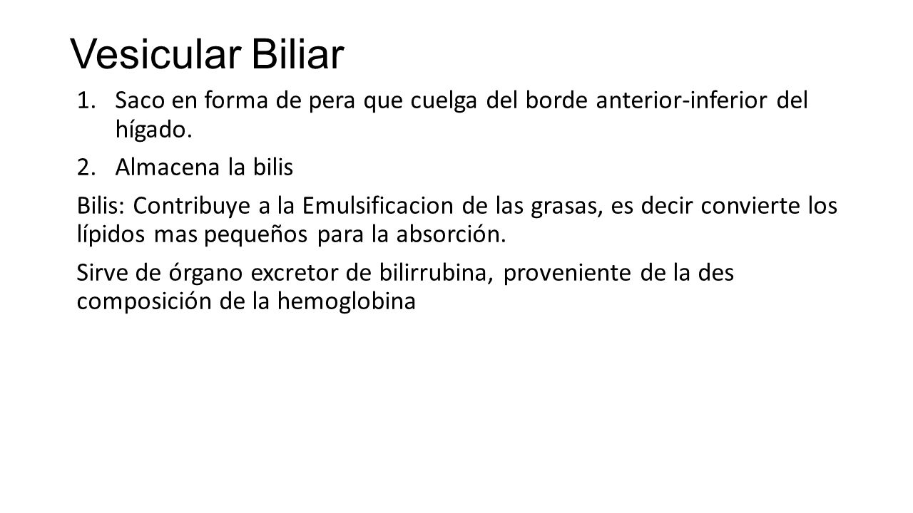 Vesicular Biliar Saco en forma de pera que cuelga del borde anterior-inferior del hígado. Almacena la bilis.