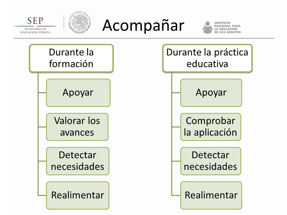 Acompañar Durante la formación Apoyar Valorar los avances