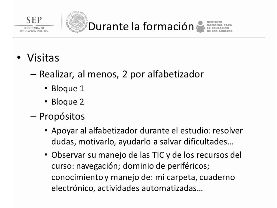 Durante la formación Visitas Realizar, al menos, 2 por alfabetizador