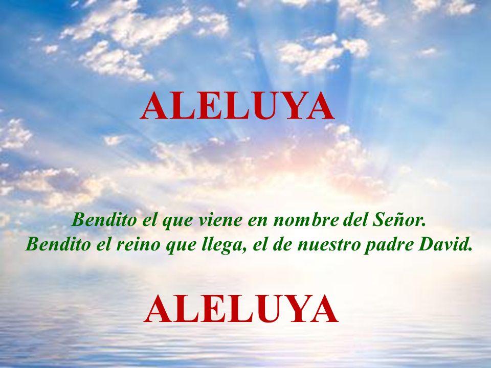 ALELUYA ALELUYA Bendito el que viene en nombre del Señor.