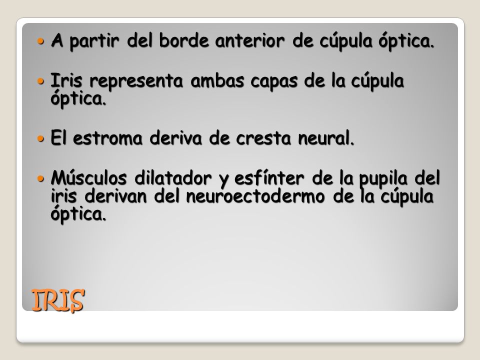 IRIS A partir del borde anterior de cúpula óptica.