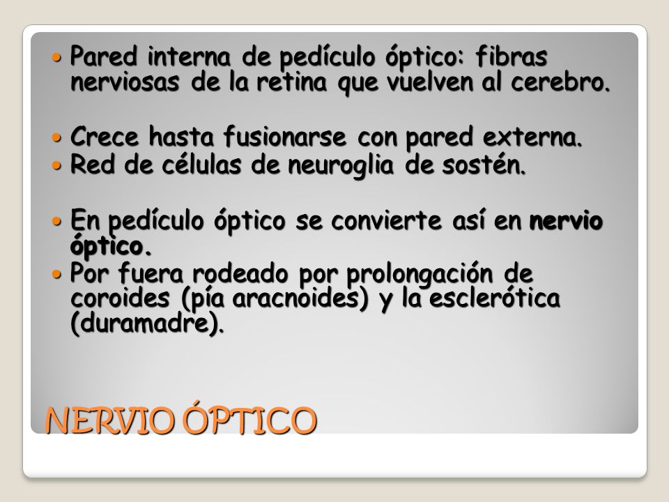 Pared interna de pedículo óptico: fibras nerviosas de la retina que vuelven al cerebro.