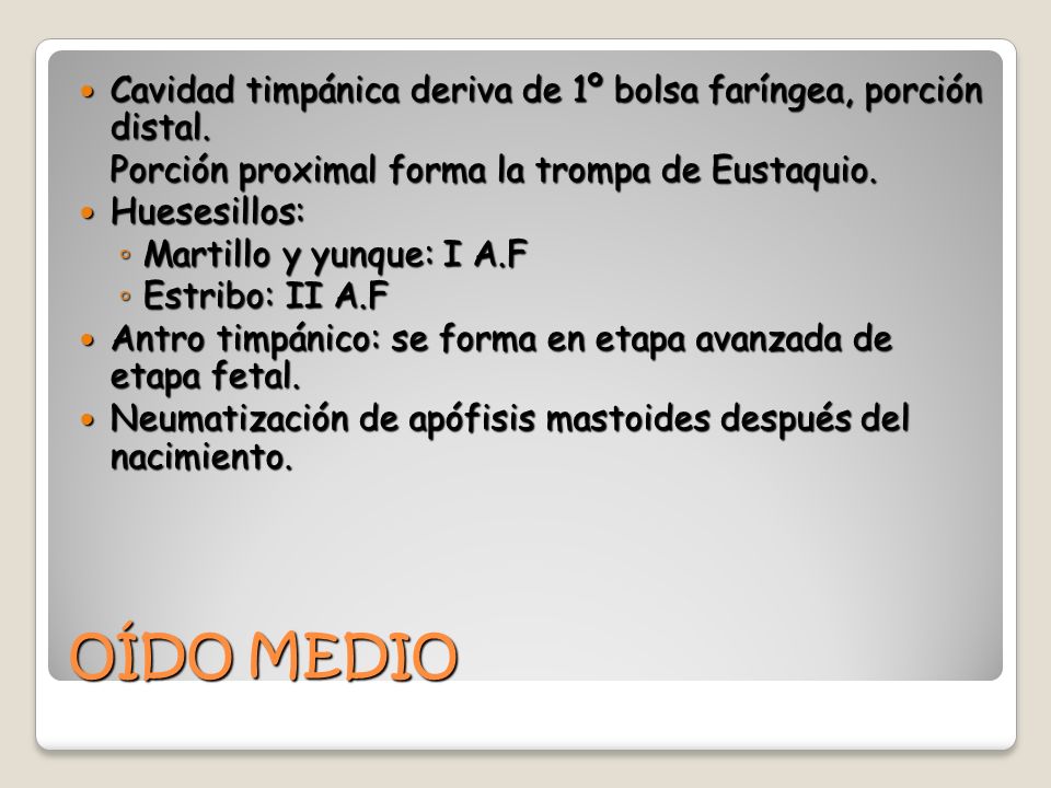 Cavidad timpánica deriva de 1º bolsa faríngea, porción distal.