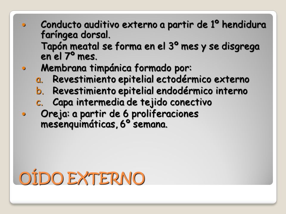 Conducto auditivo externo a partir de 1º hendidura faríngea dorsal.