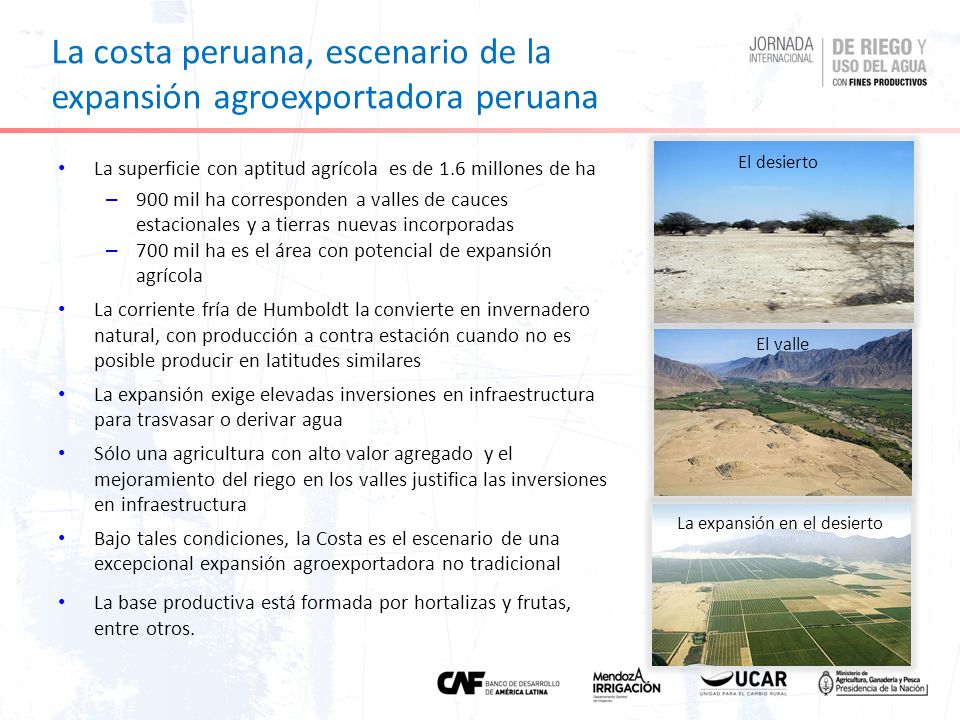 La costa peruana, escenario de la expansión agroexportadora peruana
