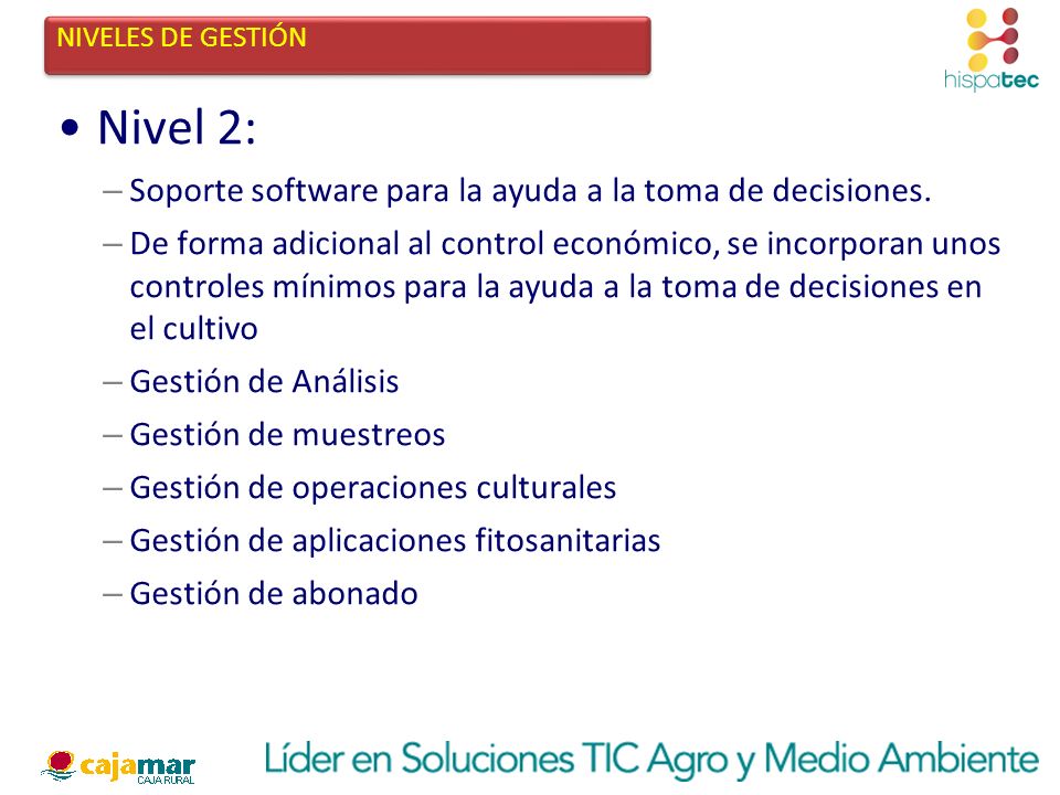 Nivel 2: Soporte software para la ayuda a la toma de decisiones.