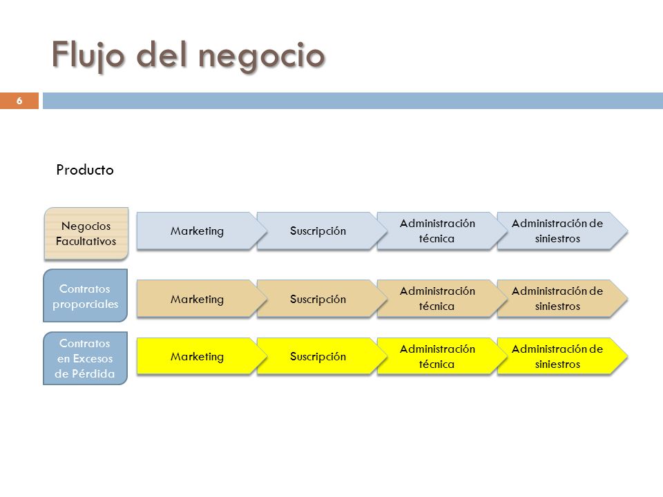 Flujo del negocio Producto Negocios Facultativos Marketing Suscripción
