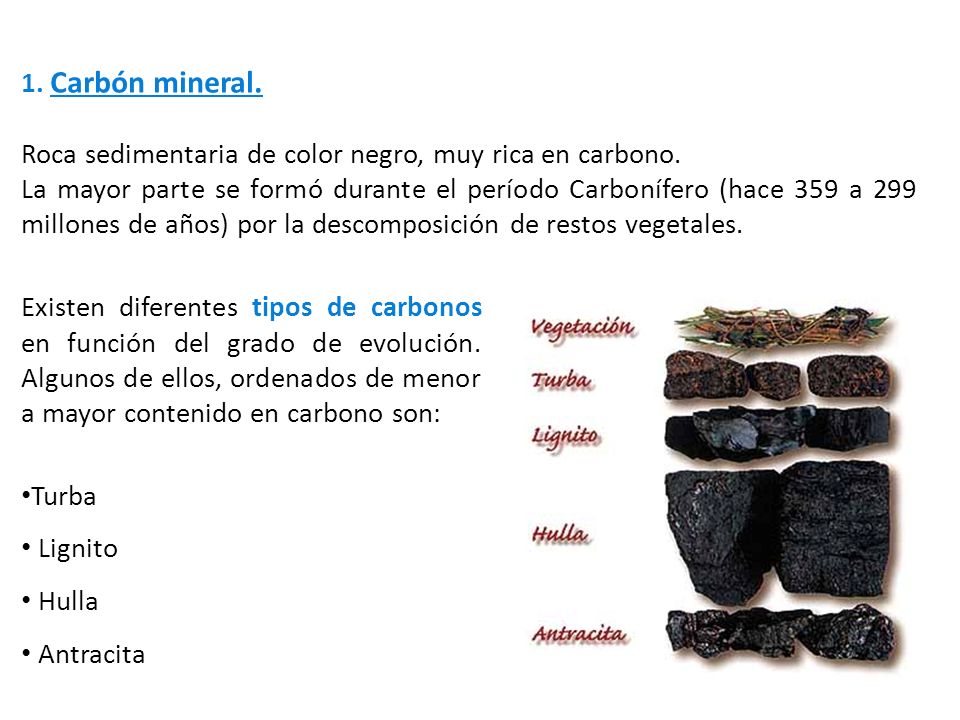 1. Carbón mineral. Roca sedimentaria de color negro, muy rica en carbono.