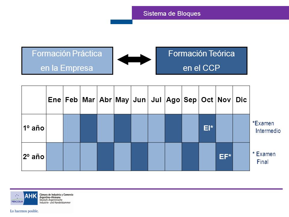 Sistema Dual Formación Profesional: Formación Práctica en la Empresa