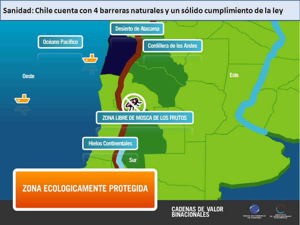 Sanidad: Chile cuenta con 4 barreras naturales y un sólido cumplimiento de la ley