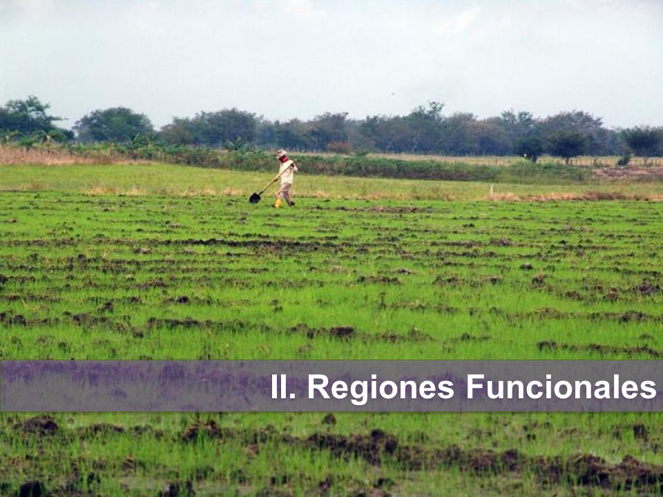 II. Regiones Funcionales
