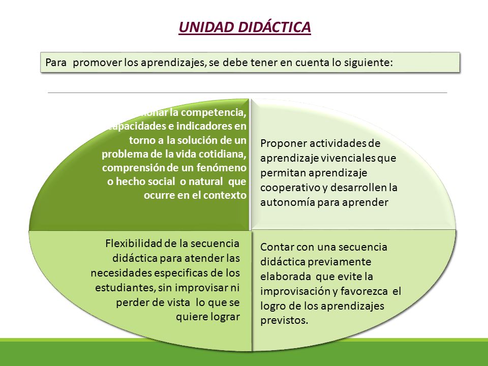 UNIDAD DIDÁCTICA Para promover los aprendizajes, se debe tener en cuenta lo siguiente: