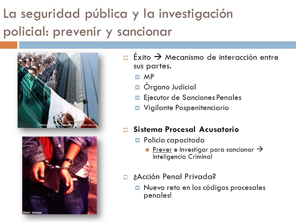La seguridad pública y la investigación policial: prevenir y sancionar