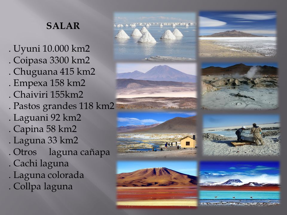 SALAR . Uyuni km2. . Coipasa 3300 km2. . Chuguana 415 km2. . Empexa 158 km2. . Chaiviri 155km2.