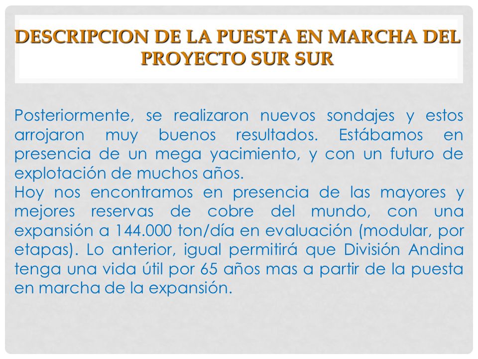 DESCRIPCION DE LA PUESTA EN MARCHA DEL PROYECTO SUR SUR