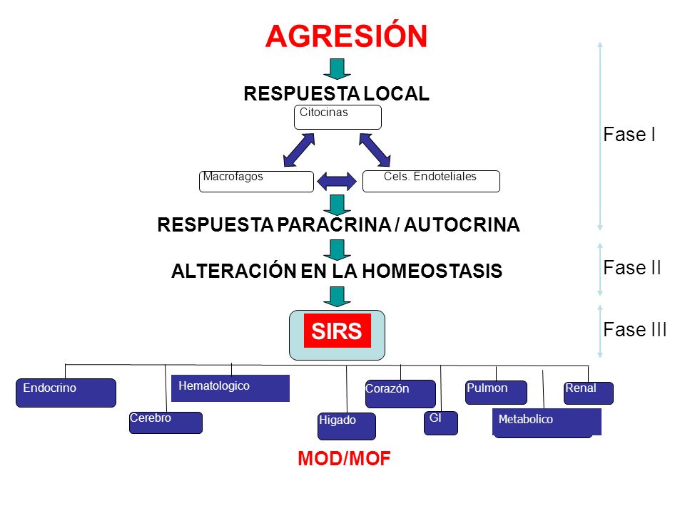 AGRESIÓN SIRS RESPUESTA LOCAL Fase I RESPUESTA PARACRINA / AUTOCRINA