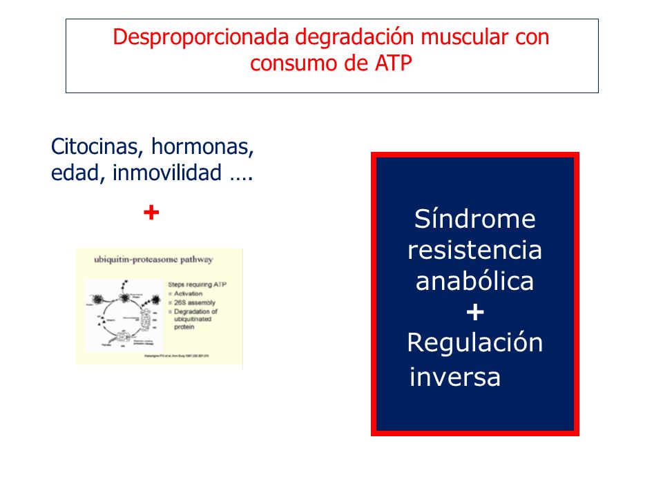 + Síndrome resistencia anabólica + Regulación inversa