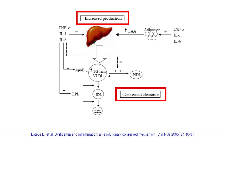 Esteve E, et al. Dyslipemia and inflammation: an evolutionary conserved mechanism.