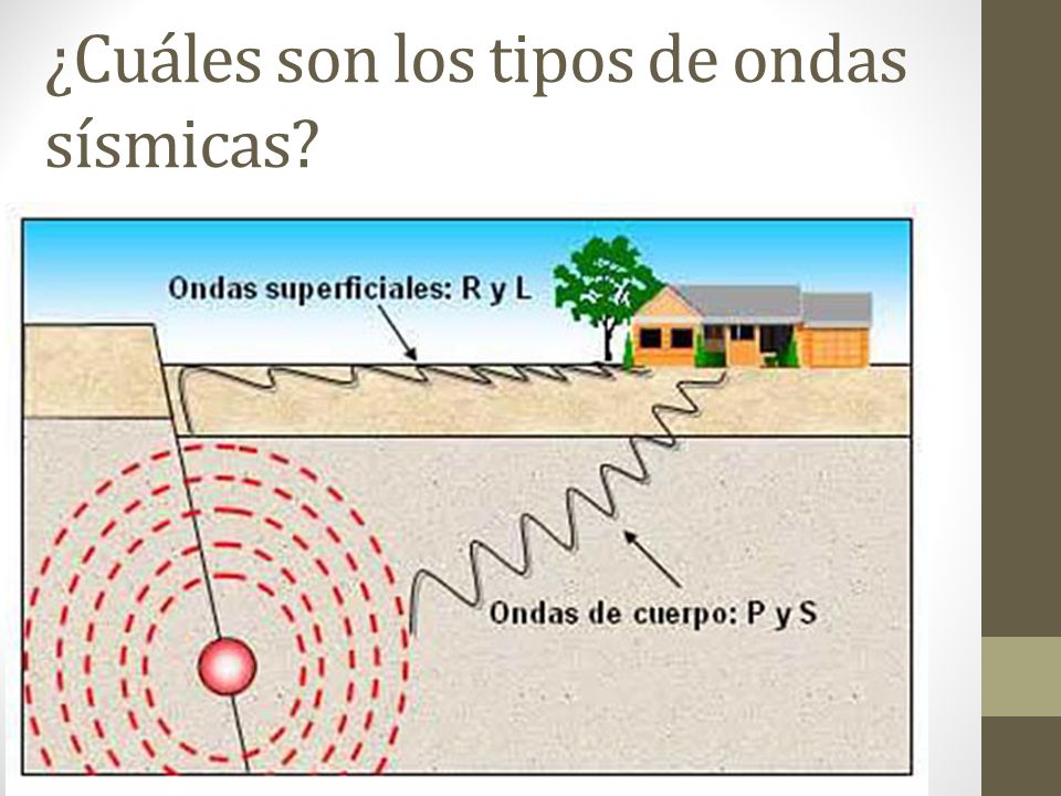 ¿Cuáles son los tipos de ondas sísmicas