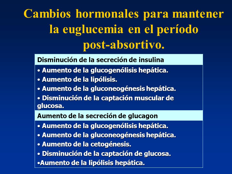 Cambios hormonales para mantener la euglucemia en el período post-absortivo.