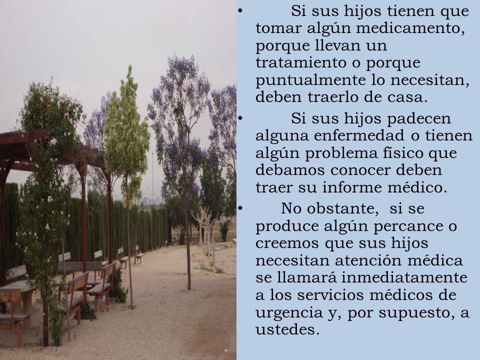 Si sus hijos tienen que tomar algún medicamento, porque llevan un tratamiento o porque puntualmente lo necesitan, deben traerlo de casa.