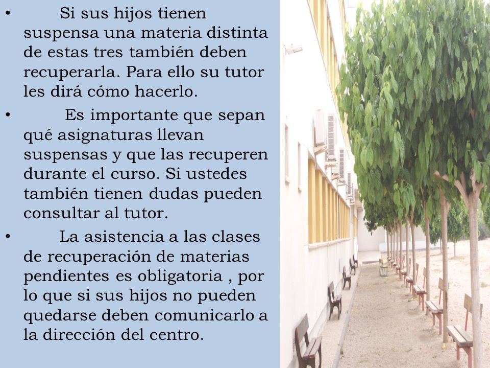 Si sus hijos tienen suspensa una materia distinta de estas tres también deben recuperarla. Para ello su tutor les dirá cómo hacerlo.