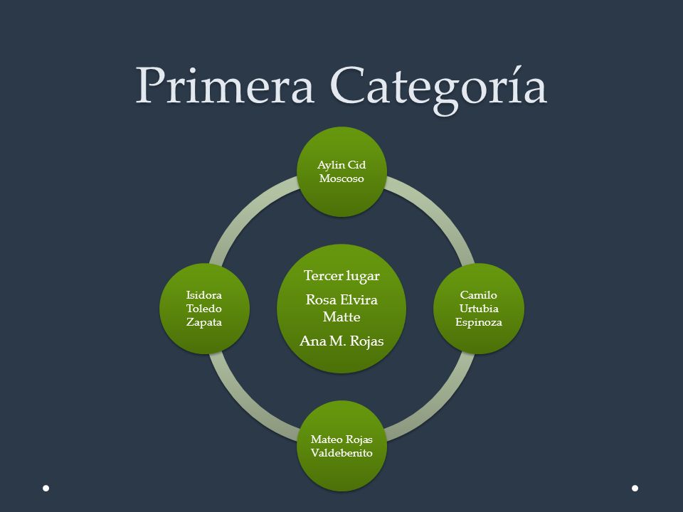 Primera Categoría Tercer lugar Rosa Elvira Matte Ana M. Rojas