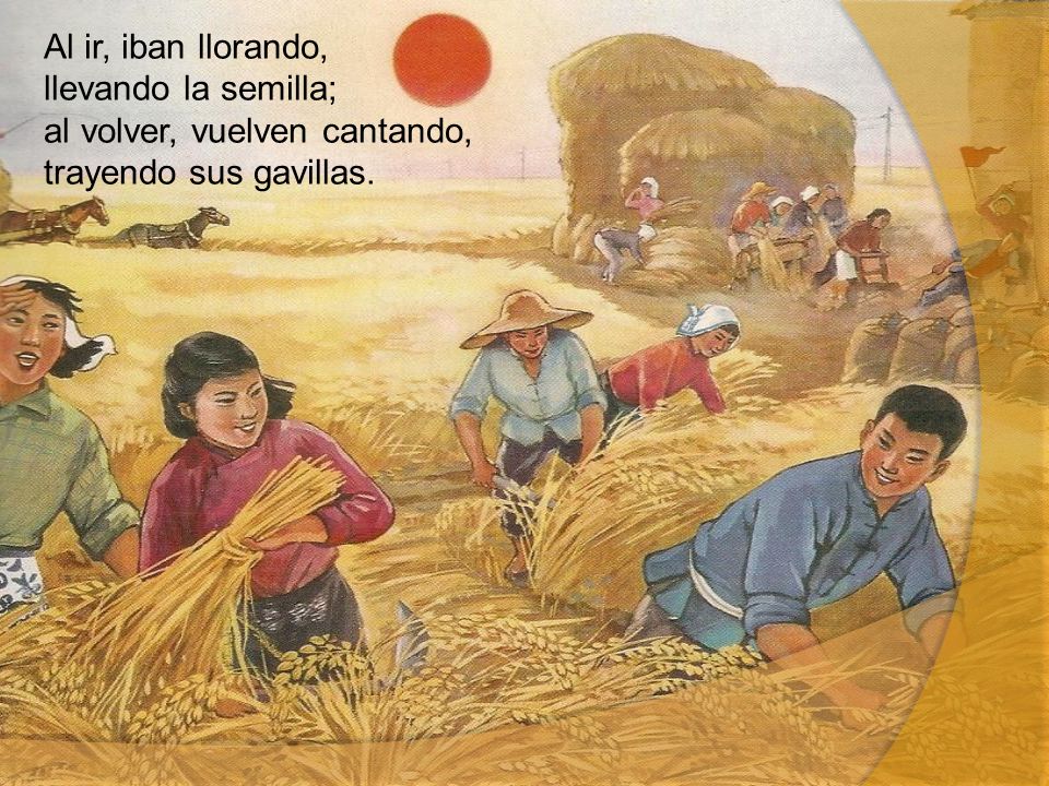 Al ir, iban llorando, llevando la semilla; al volver, vuelven cantando, trayendo sus gavillas.