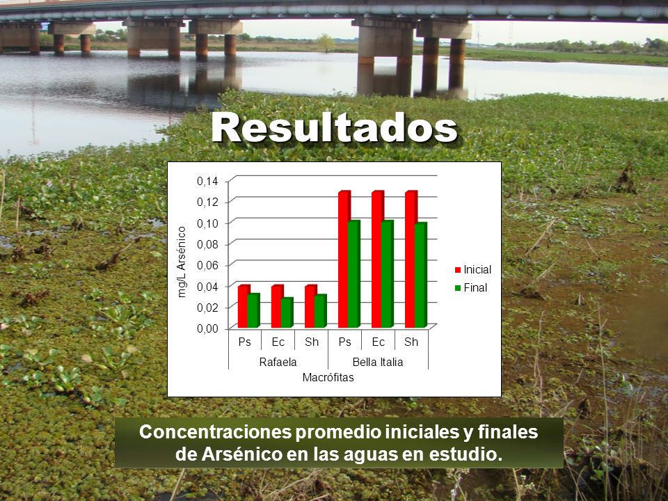 Resultados Concentraciones promedio iniciales y finales de Arsénico en las aguas en estudio.