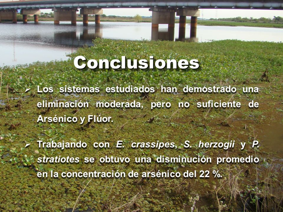 Conclusiones Los sistemas estudiados han demostrado una eliminación moderada, pero no suficiente de Arsénico y Flúor.