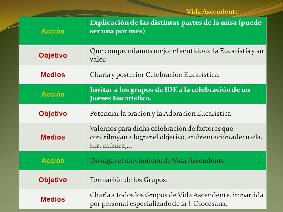 Vida Ascendente Acción. Explicación de las distintas partes de la misa (puede ser una por mes) Objetivo.