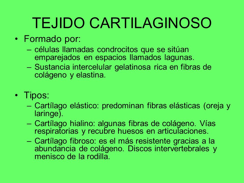 TEJIDO CARTILAGINOSO Formado por: Tipos: