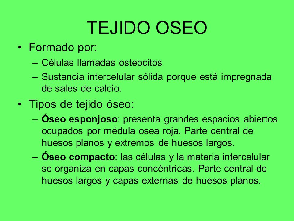 TEJIDO OSEO Formado por: Tipos de tejido óseo: