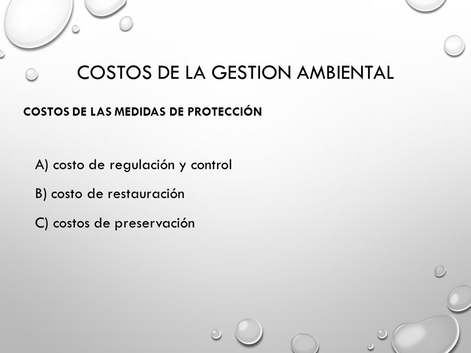 COSTOS DE LA GESTION AMBIENTAL
