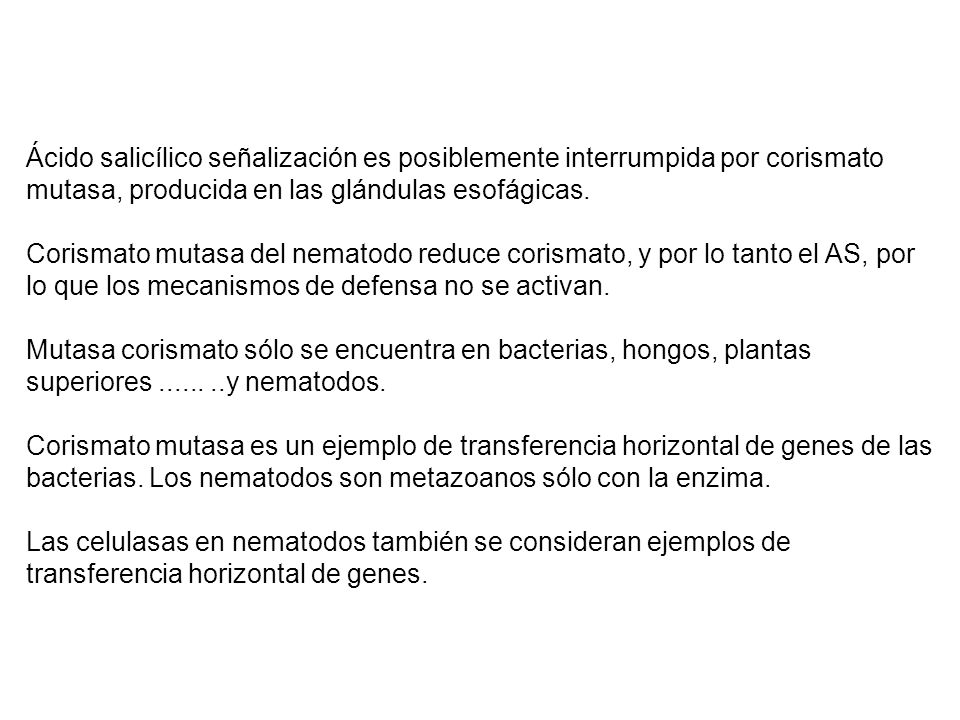 Ácido salicílico señalización es posiblemente interrumpida por corismato mutasa, producida en las glándulas esofágicas.