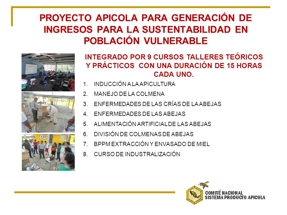 PROYECTO APICOLA PARA GENERACIÓN DE INGRESOS PARA LA SUSTENTABILIDAD EN POBLACIÓN VULNERABLE