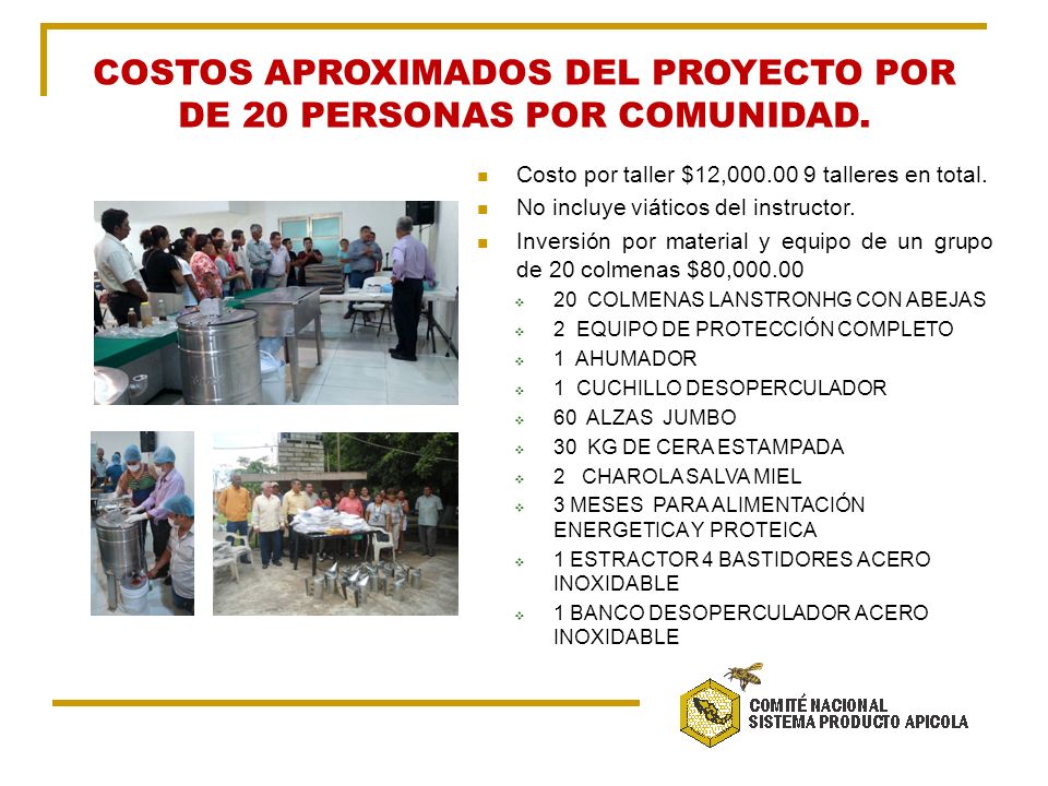 COSTOS APROXIMADOS DEL PROYECTO POR DE 20 PERSONAS POR COMUNIDAD.