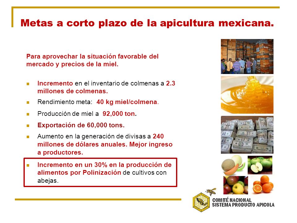 Metas a corto plazo de la apicultura mexicana.
