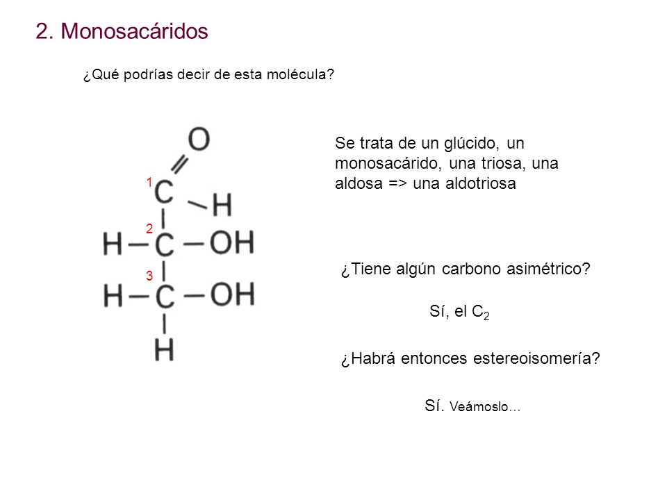 Monosacáridos ¿Qué podrías decir de esta molécula Se trata de un glúcido, un monosacárido, una triosa, una aldosa => una aldotriosa.