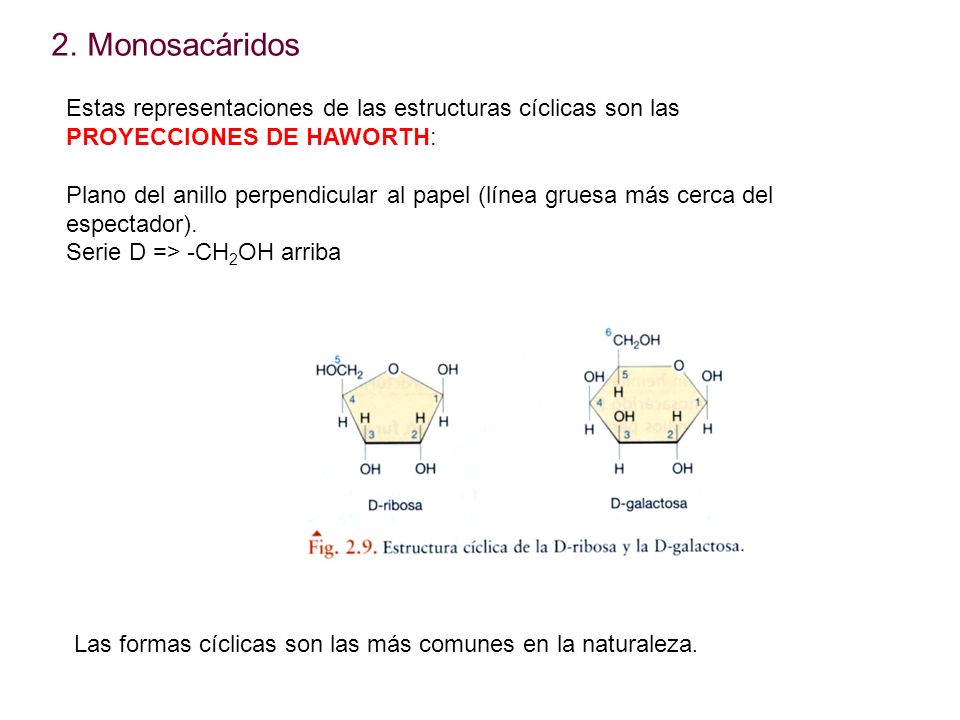 Monosacáridos Estas representaciones de las estructuras cíclicas son las PROYECCIONES DE HAWORTH: