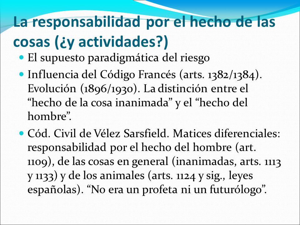 La responsabilidad por el hecho de las cosas (¿y actividades )