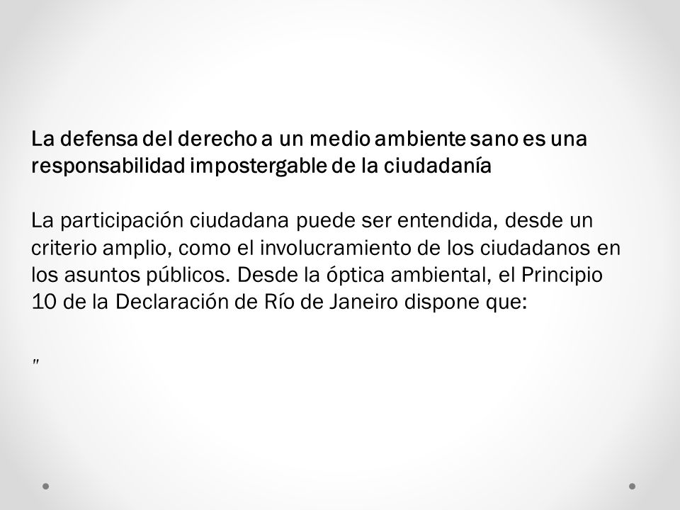 La defensa del derecho a un medio ambiente sano es una responsabilidad impostergable de la ciudadanía