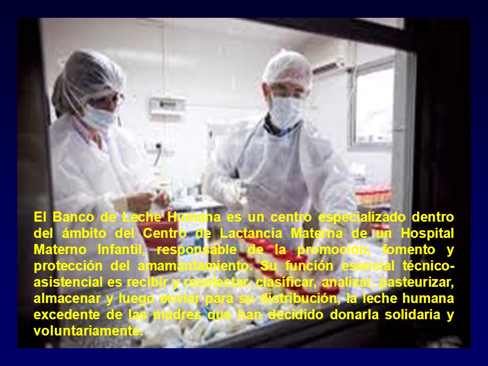El Banco de Leche Humana es un centro especializado dentro del ámbito del Centro de Lactancia Materna de un Hospital Materno Infantil, responsable de la promoción, fomento y protección del amamantamiento.