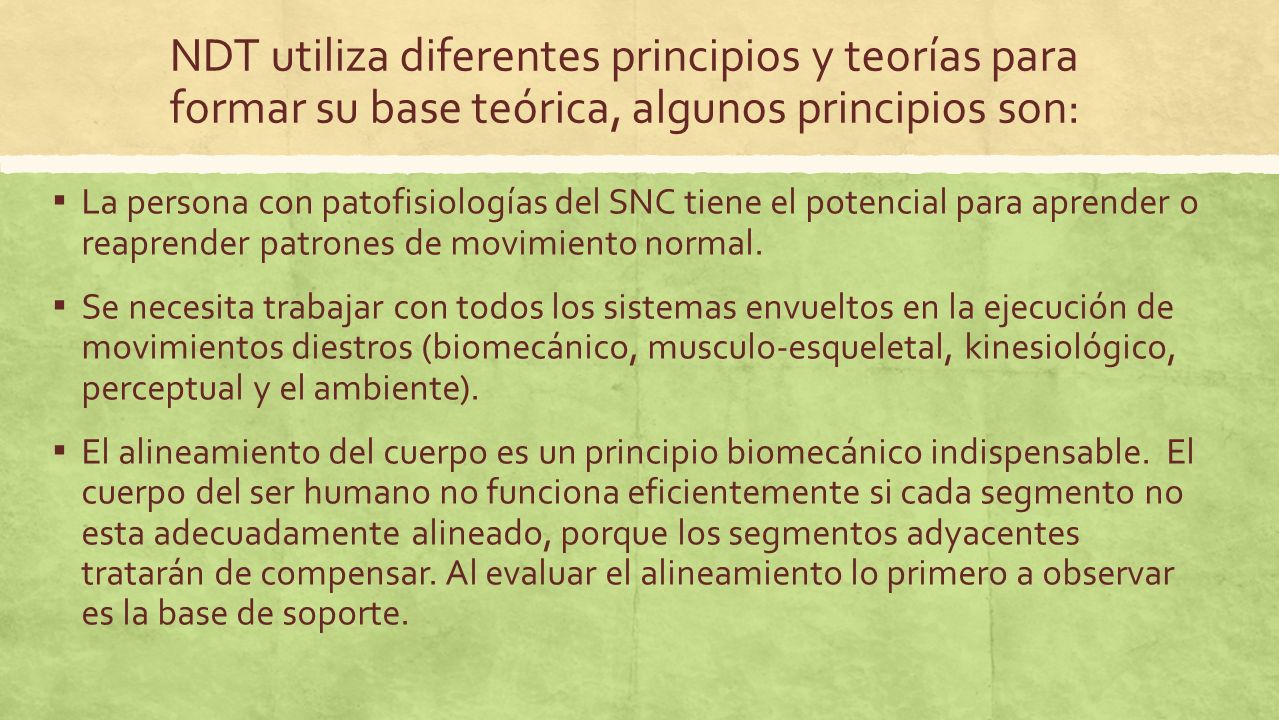 NDT utiliza diferentes principios y teorías para formar su base teórica, algunos principios son: