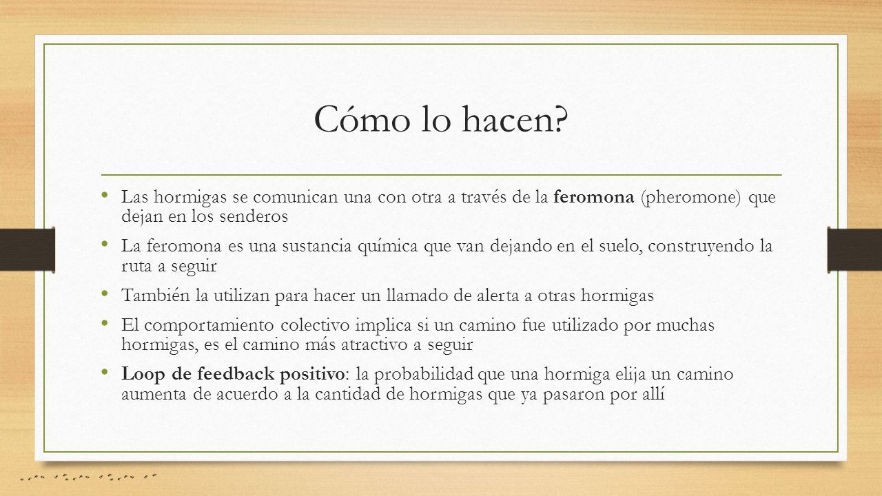 Cómo lo hacen Las hormigas se comunican una con otra a través de la feromona (pheromone) que dejan en los senderos.