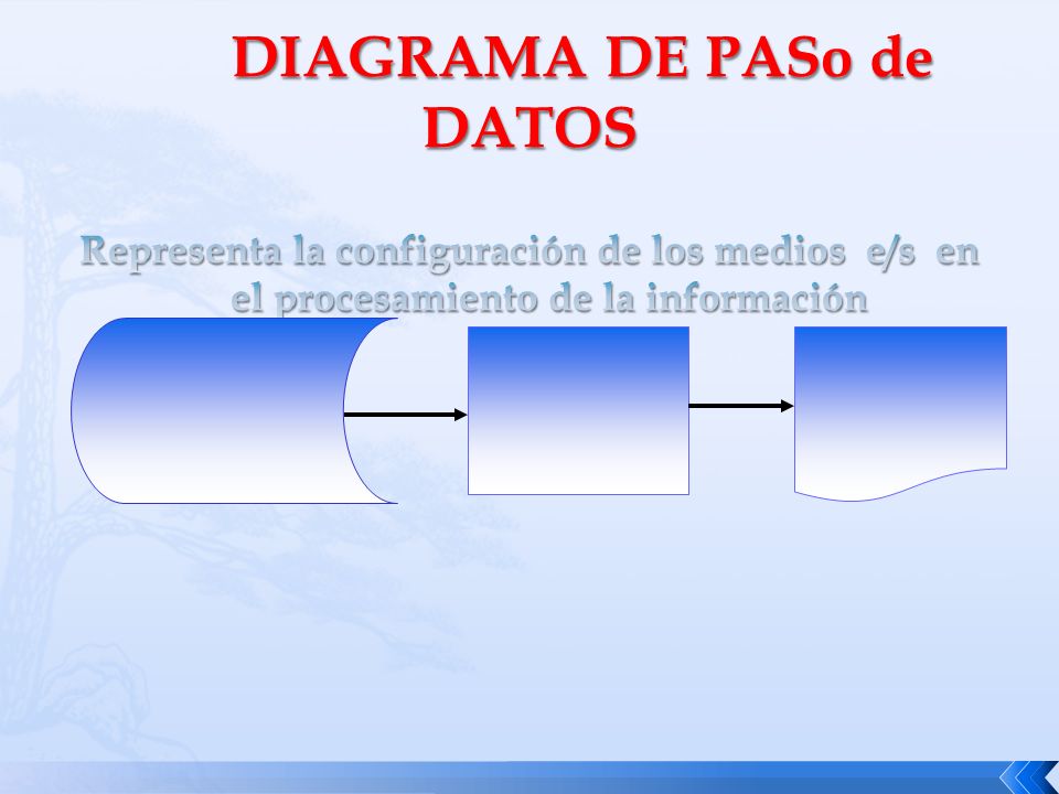 DIAGRAMA DE PASo de DATOS Representa la configuración de los medios e/s en el procesamiento de la información