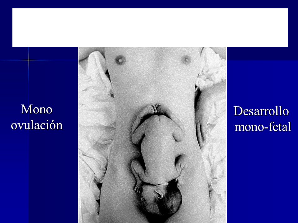 Cuerpo femenino, diseñado para procrear un solo hijo a la vez